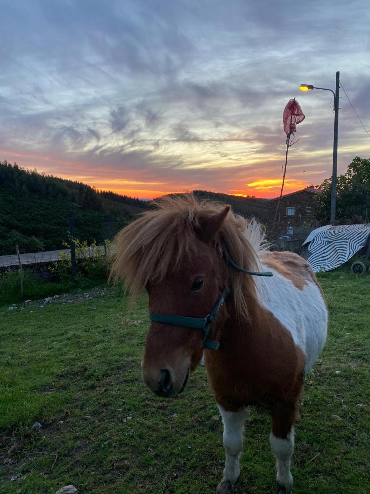 알데이아다스데츠 Casinha Por Do Sol 빌라 외부 사진